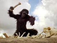 Gli imbecilli senza il&nbsp;bastone